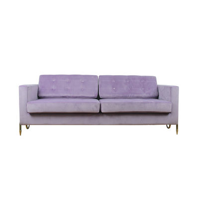 kupować Małe mieszkanie Aksamitna tkanina Salon Nowoczesna sofa Ujednolicona dekoracja produkcja online